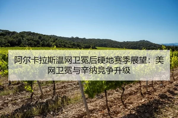 a-er-ka-la-si-wen-wang-wei-mian-hou-ying-di-sai-ji-zhan-wang-mei-wang-wei-mian-yu-xin-na-jing-zheng-sheng-ji-2-316.jpg